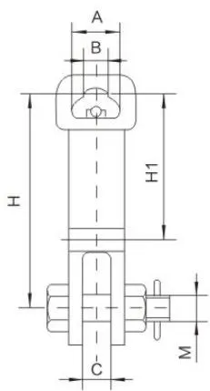 WS Type Socket Clevis (Extended Type)